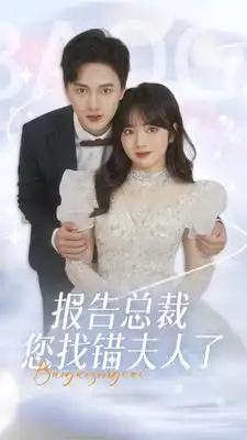 《报告总裁您找错夫人了(93集)》短剧全集免费在线观看