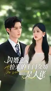 《闪婚之捡来的上门女婿是大佬（79集）》短剧全集免费在线观看