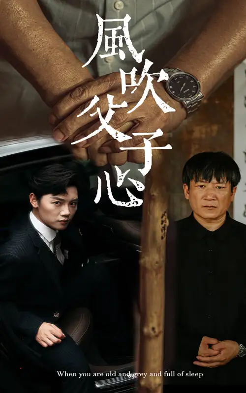 《风吹父子心(65集)》短剧全集免费在线观看