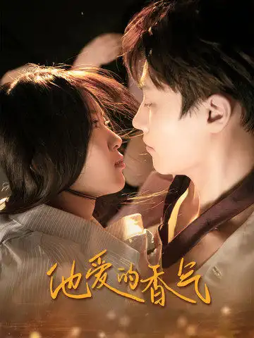 《他爱的香气(81集)》短剧全集免费在线观看