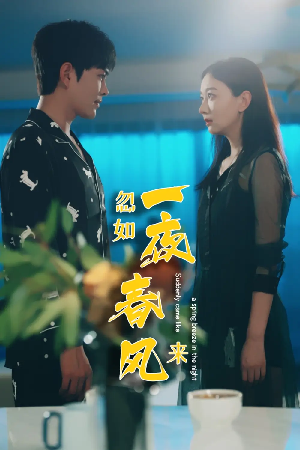 《忽如一夜春风来（28集）徐江帅》短剧全集免费在线观看