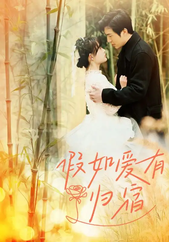 《假如爱有归宿（73集）呆呆》短剧全集免费在线观看