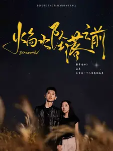 《焰火坠落之前(99集)辛润茜》短剧全集免费在线观看