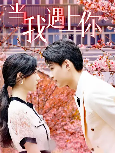 《当我遇上你(100集)》短剧全集免费在线观看