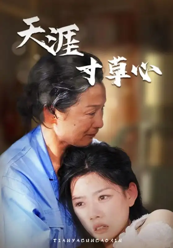 《天涯寸草心(76集)陈思琦》短剧全集免费在线观看