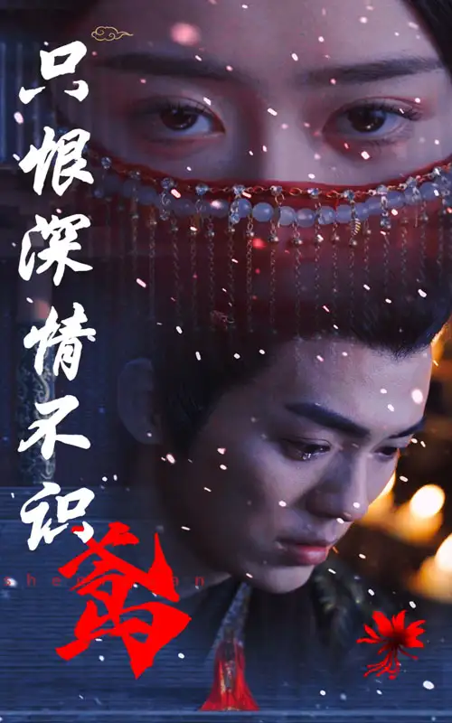《只恨深情不识鸢(83集)》短剧全集免费在线观看