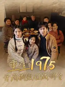 《重生1975开局撕毁回城调令（83集）》短剧全集免费在线观看