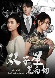 《双子星黑白切（82集）》短剧全集免费在线观看