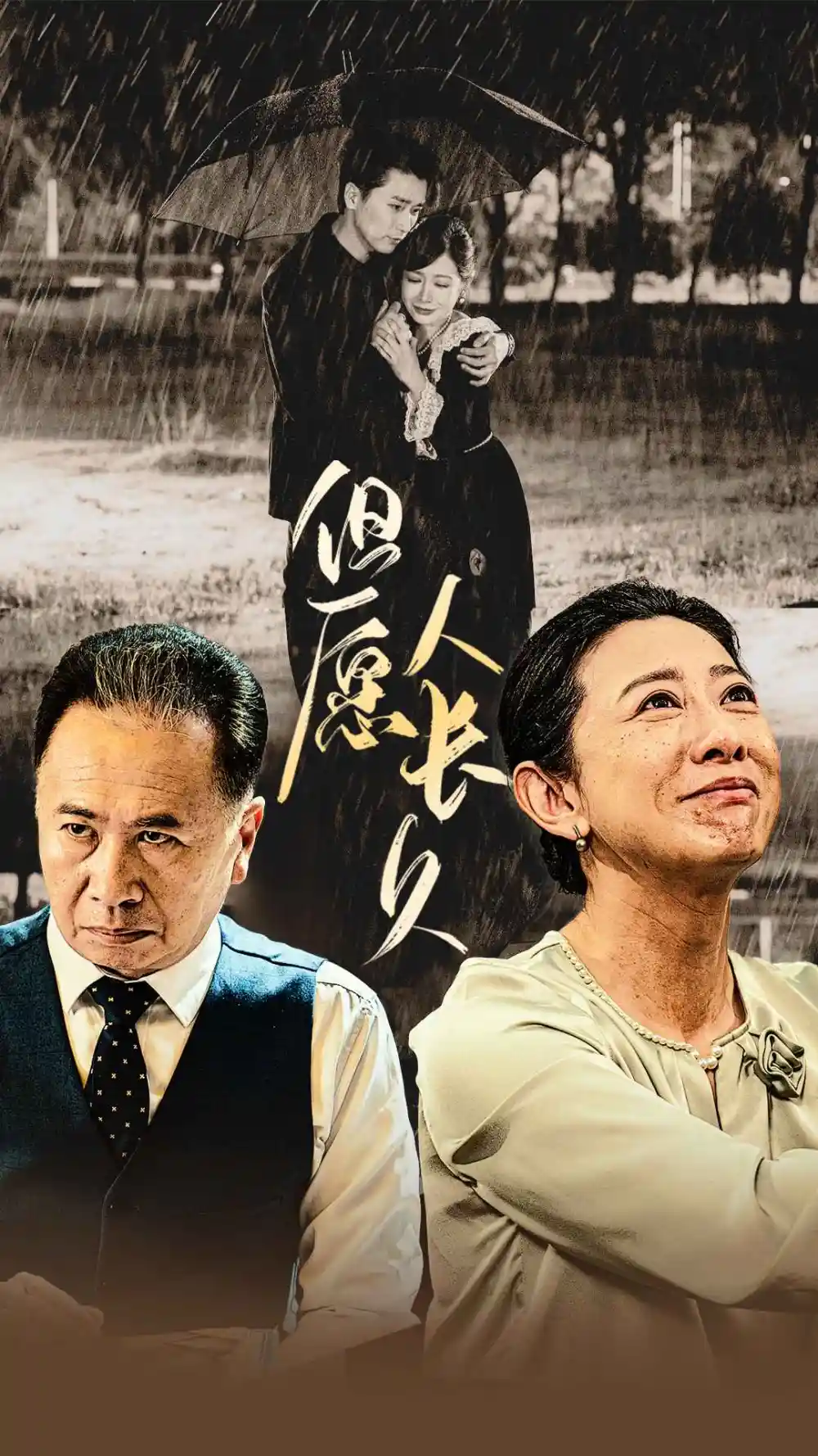 《但愿人长久(80集)》短剧全集免费在线观看