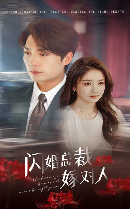 《闪婚总裁嫁对人(30集)》短剧全集免费在线观看