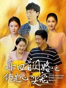 《再回首闪婚之仍是心尖宠（36集）》短剧全集免费在线观看