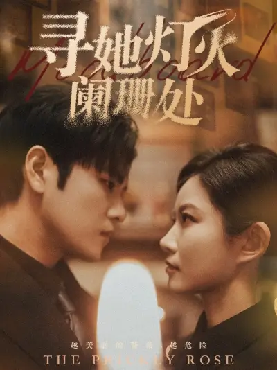 《寻她灯火阑珊处（61集）》短剧全集免费在线观看