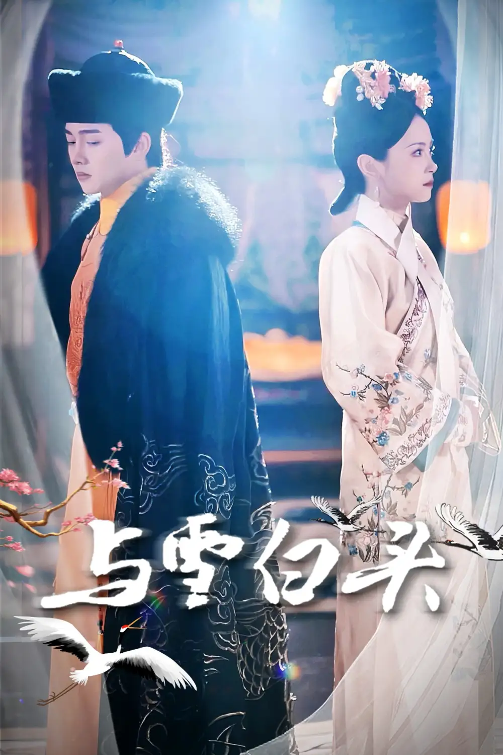 《与雪白头(84集)》短剧全集免费在线观看