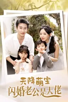 《天降萌宝闪婚老公是大佬（60集）赵振栋&葛晓希》短剧全集免费在线观看