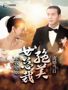 《离婚当日,绝美女总裁求我娶她(95集)钱谦》短剧全集免费在线观看