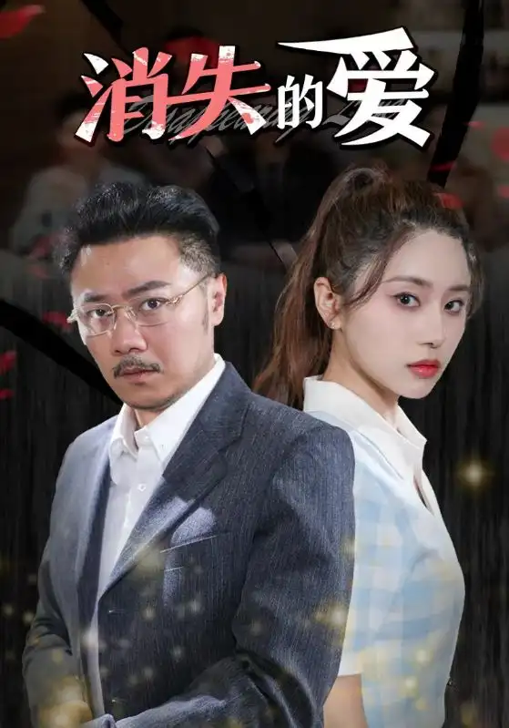 《消失的爱(101集)》短剧全集免费在线观看