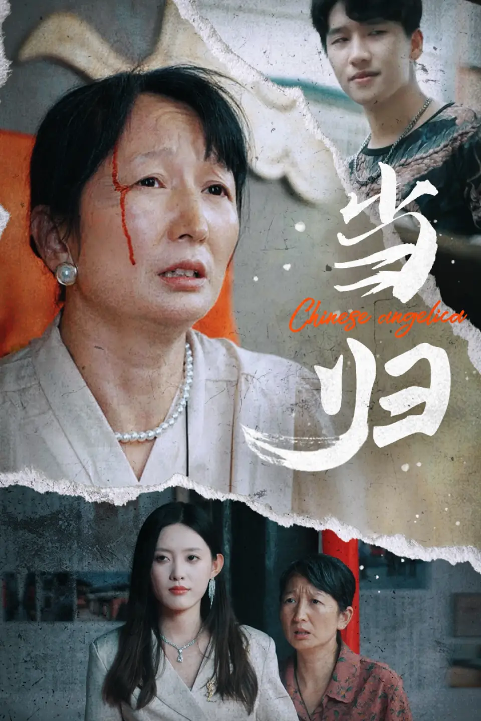 《当归(50集)》短剧全集免费在线观看
