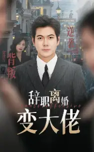 《辞职离婚变大佬（30集）》短剧全集免费在线观看