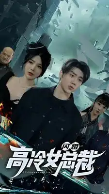 《闪婚高冷女总裁(100集)》短剧全集免费在线观看