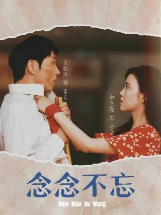 《念念不忘(32集)》短剧全集免费在线观看