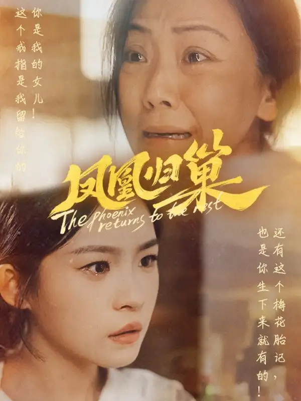 《凤凰归巢（69集）》短剧全集免费在线观看