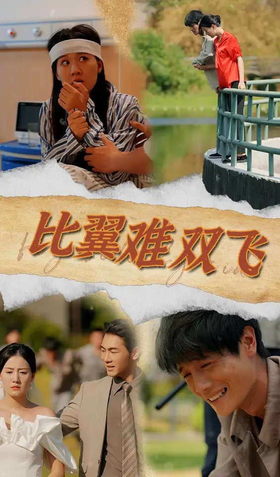 《比翼难双飞(30集)》短剧全集免费在线观看