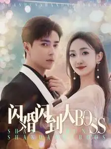 《闪婚闪到大BOOS（76集）》短剧全集免费在线观看