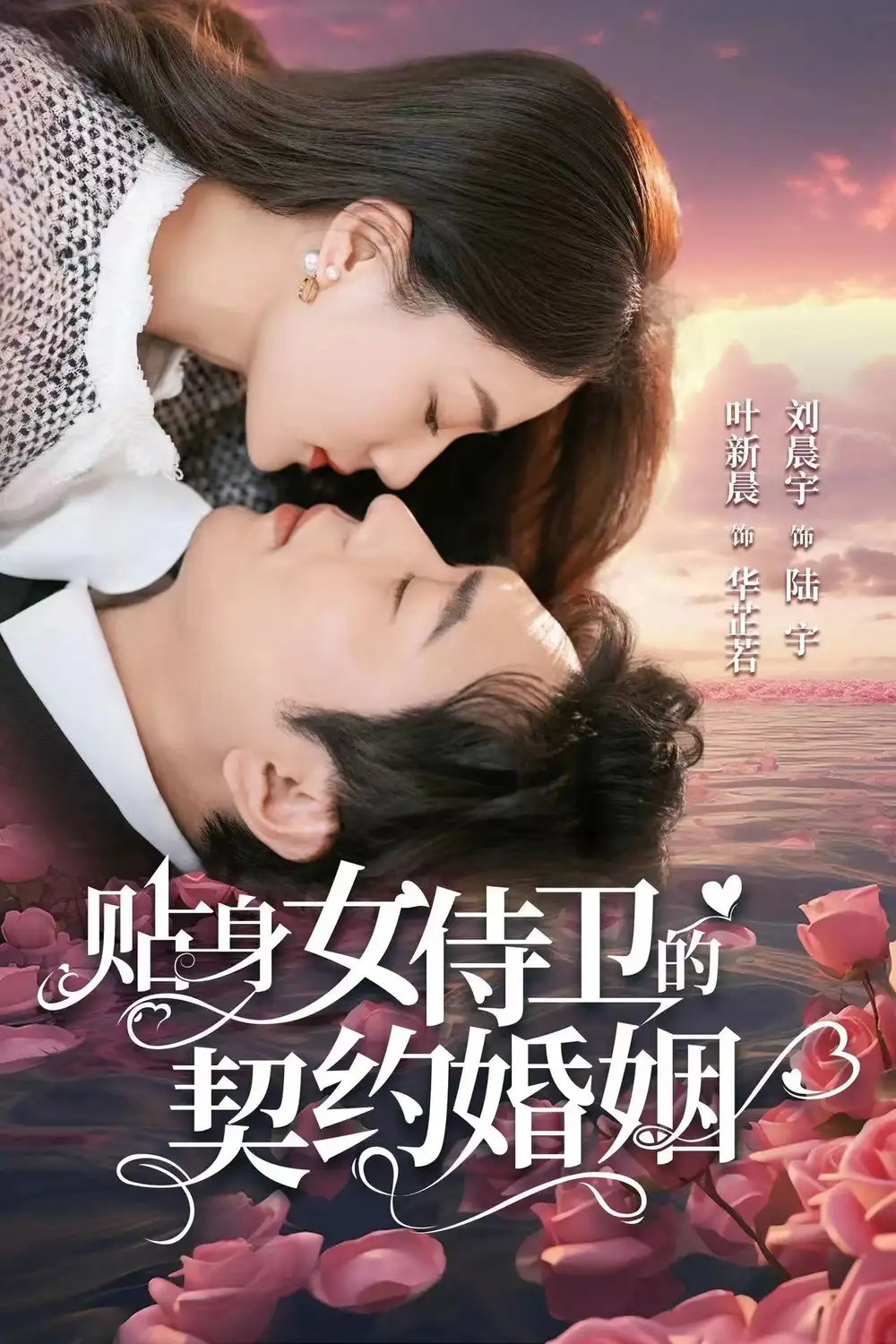 《贴身女侍卫的契约婚姻(91集)》短剧全集免费在线观看