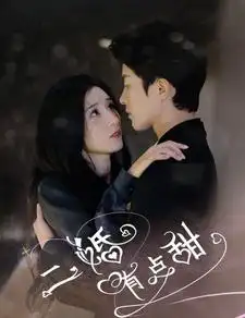 《二婚有点甜（88集）贾博雅》短剧全集免费在线观看