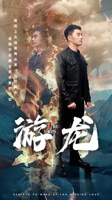 《游龙（74集）》短剧全集免费在线观看