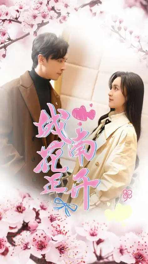 《城南花正开（92集）》短剧全集免费在线观看