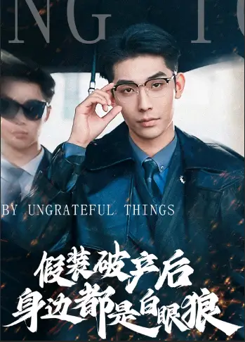 《假装破产后发现身边都是白眼狼(36集)》短剧全集免费在线观看