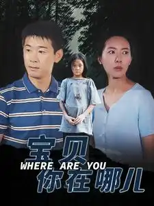 《宝贝你在哪儿(30集)》短剧全集免费在线观看