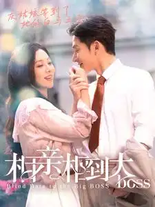 《相亲相到大boss(101集)》短剧全集免费在线观看