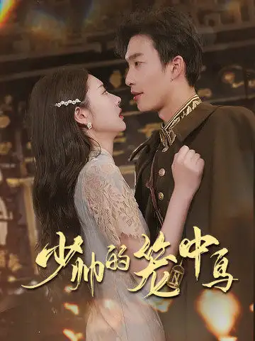 《少帅的笼中鸟(70集)》短剧全集免费在线观看