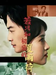 《若只如初见的夏雨荷(90集)》短剧全集免费在线观看