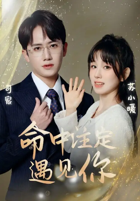 《命中注定遇见你(96集)》短剧全集免费在线观看