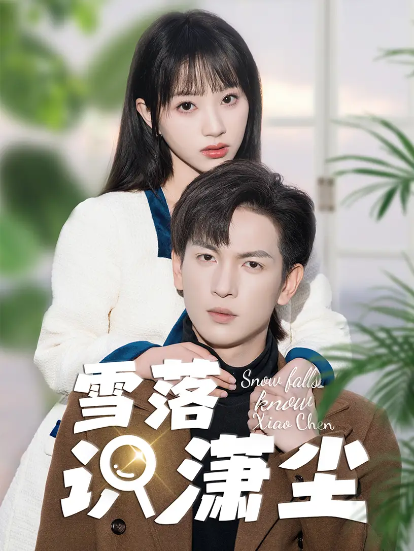 《雪落识潇尘（80集）》短剧全集免费在线观看