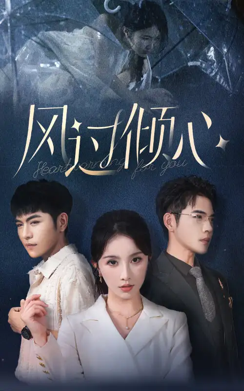 《风过倾心(62集)》短剧全集免费在线观看