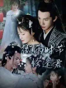 《微雨时节恰逢君(82集)》短剧全集免费在线观看