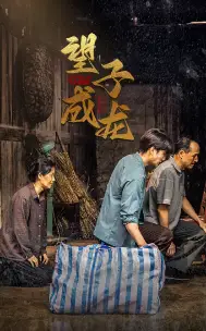 《新版:望子成龙(59集)》短剧全集免费在线观看