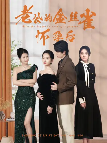 《老公的金丝雀怀孕后(73集)姚宇晨》短剧全集免费在线观看