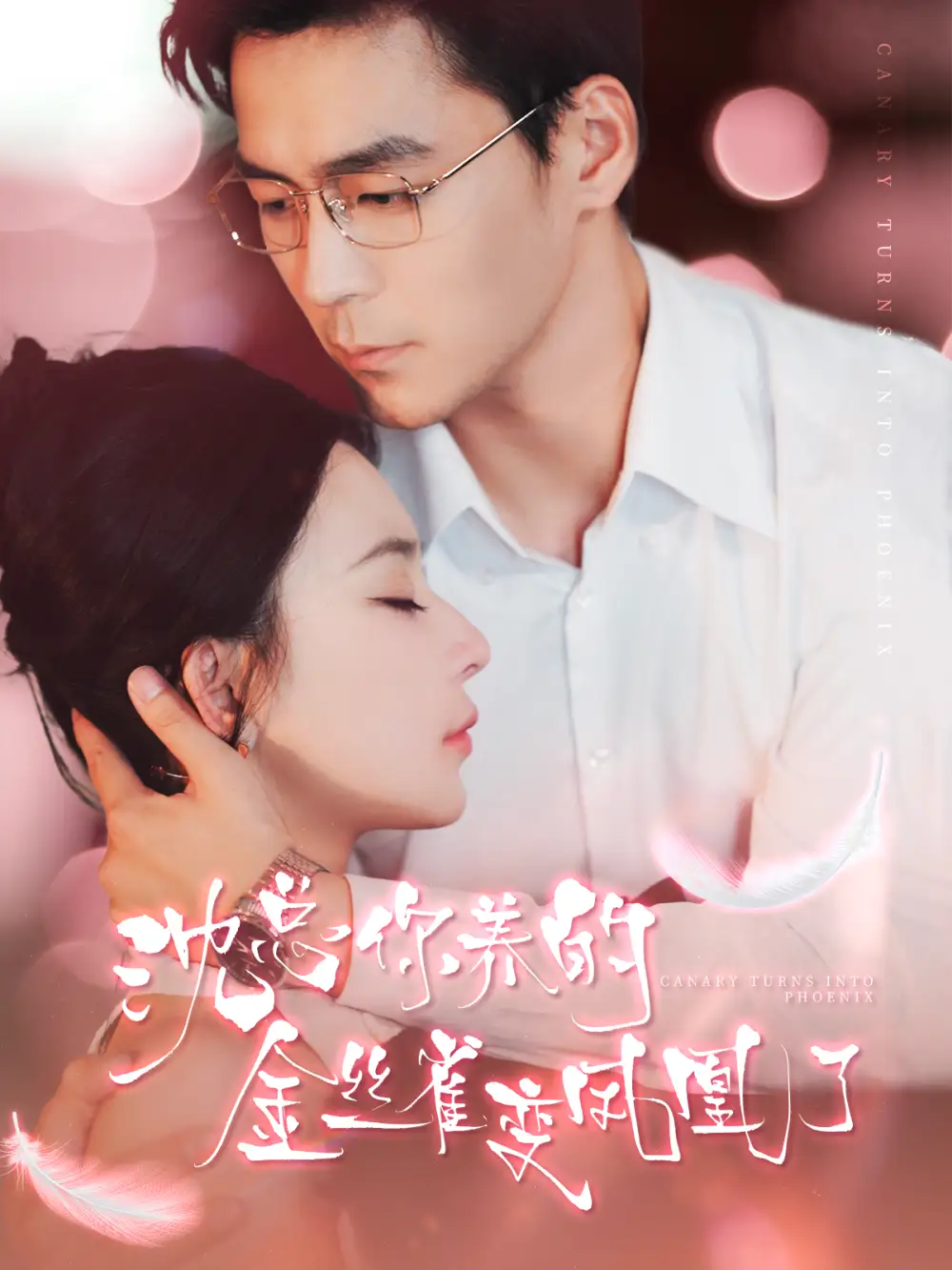 《沈总你养的金丝雀变凤凰了(100集)余沛杉&黎晟萱》短剧全集免费在线观看