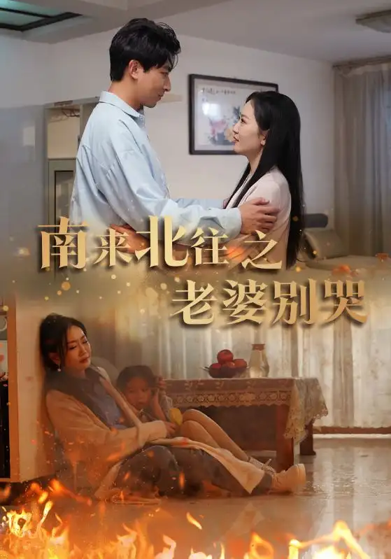 《南来北往之老婆别哭(87集)姚宇晨》短剧全集免费在线观看