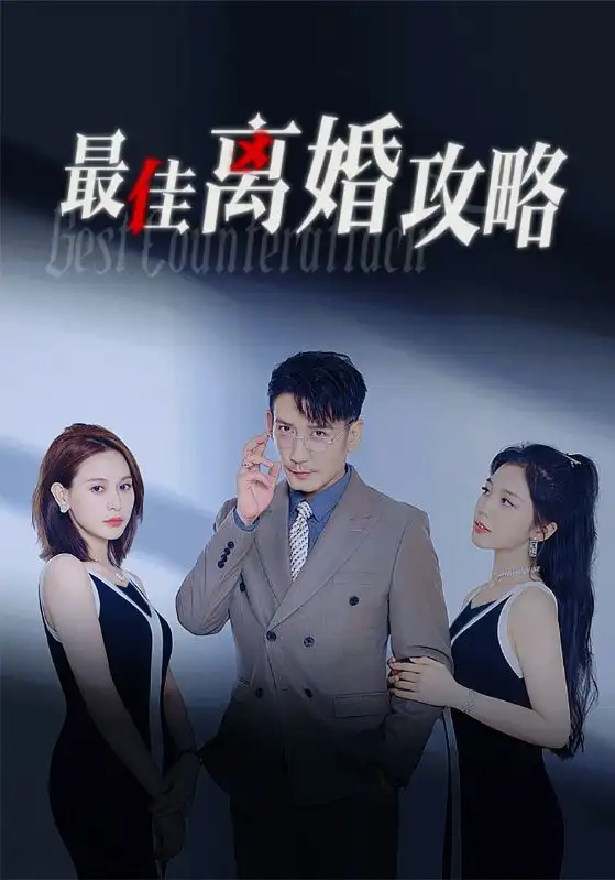 《最佳离婚攻略(31集)》短剧全集免费在线观看