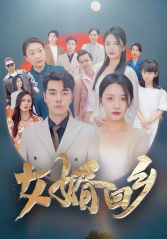 《女婿回乡(120集)》短剧全集免费在线观看
