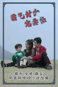 《霸气封少宠妻忙(80集)》短剧全集免费在线观看