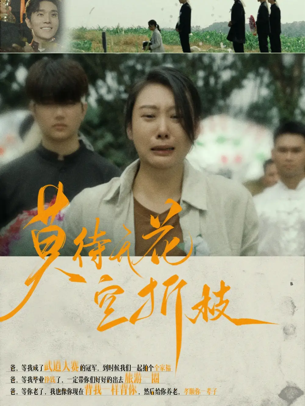 《莫待无花空折枝(75集)》短剧全集免费在线观看