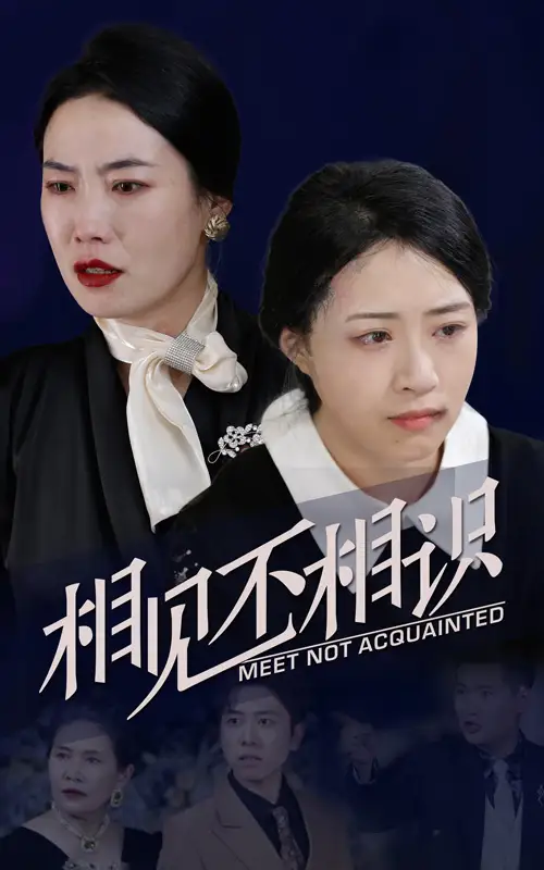 《相见不相识(34集)》短剧全集免费在线观看