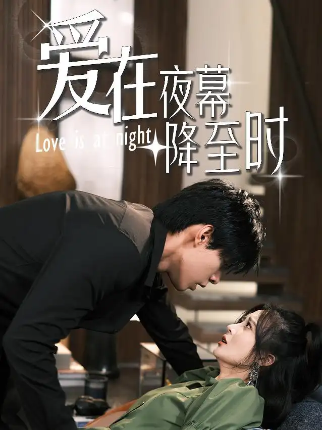 《爱在夜幕降至时(73集)马小宇》短剧全集免费在线观看